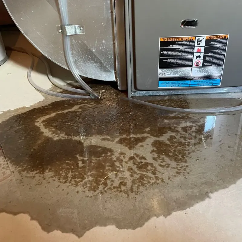 Pipe Burst and Leak Restoration in Central Square, NY